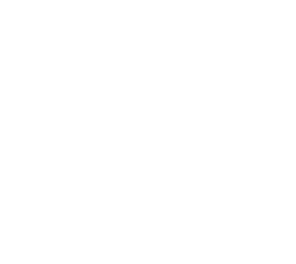 robotics-icon APT - 公司专业范畴